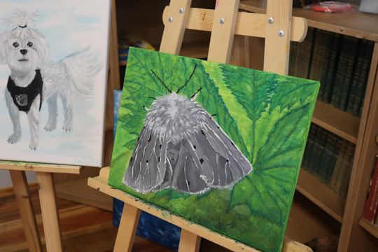 Gm. Dorohusk. Wyjątkowy wernisaż VIII Pleneru Rzeźbiarsko-Malarskiego [GALERIA ZDJĘĆ]