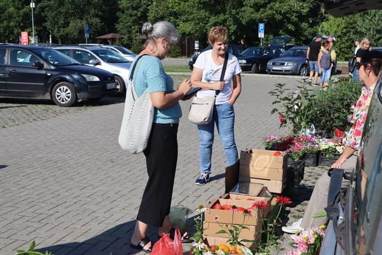 Gm. Chełm. Co można kupić na Gminnym Targowisku? Gm. Chełm. Co można kupić na Gminnym Targowisku?