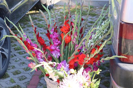 Gm. Chełm. Co można kupić na Gminnym Targowisku? Gm. Chełm. Co można kupić na Gminnym Targowisku?