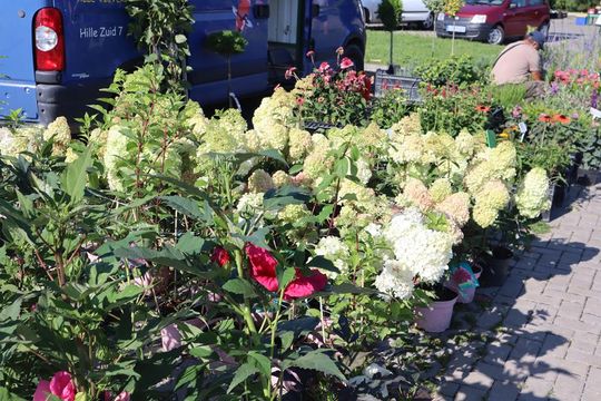 Gm. Chełm. Co można kupić na Gminnym Targowisku? Gm. Chełm. Co można kupić na Gminnym Targowisku?