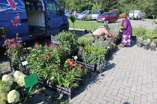 Gm. Chełm. Co można kupić na Gminnym Targowisku? Gm. Chełm. Co można kupić na Gminnym Targowisku?