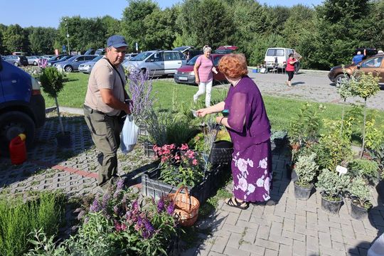 Gm. Chełm. Co można kupić na Gminnym Targowisku? Gm. Chełm. Co można kupić na Gminnym Targowisku?