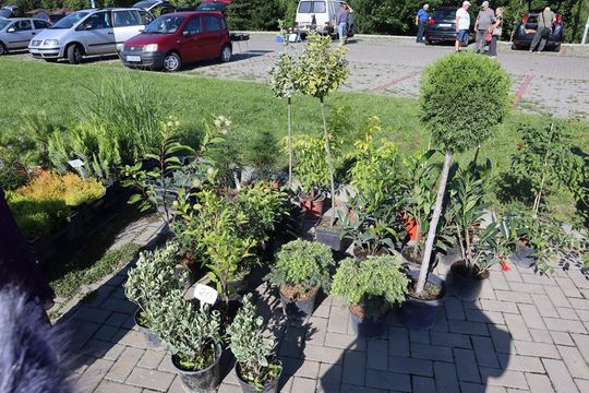 Gm. Chełm. Co można kupić na Gminnym Targowisku? Gm. Chełm. Co można kupić na Gminnym Targowisku?