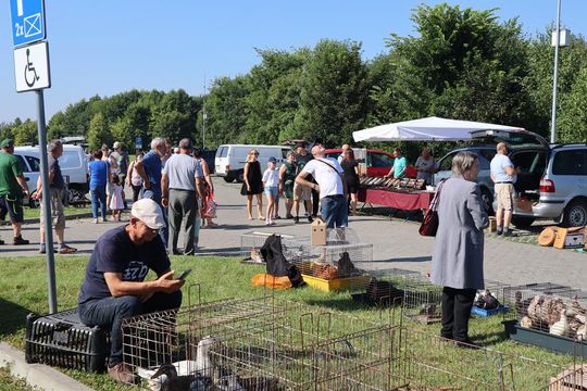 Gm. Chełm. Co można kupić na Gminnym Targowisku? Gm. Chełm. Co można kupić na Gminnym Targowisku?