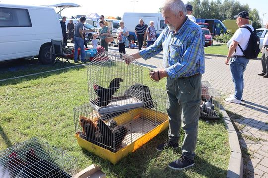 Gm. Chełm. Co można kupić na Gminnym Targowisku? Gm. Chełm. Co można kupić na Gminnym Targowisku?