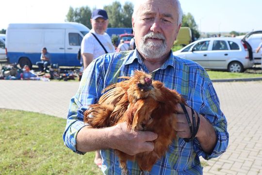 Gm. Chełm. Co można kupić na Gminnym Targowisku? Gm. Chełm. Co można kupić na Gminnym Targowisku?