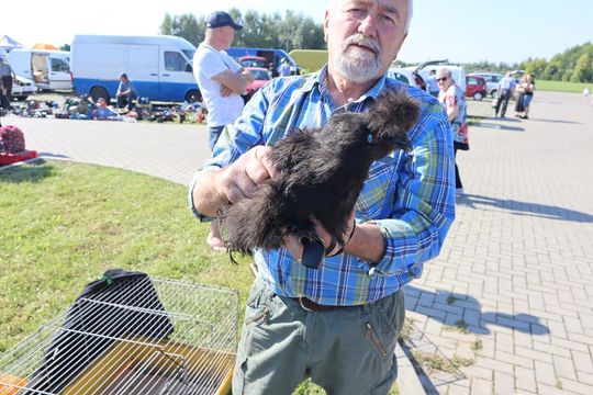 Gm. Chełm. Co można kupić na Gminnym Targowisku? Gm. Chełm. Co można kupić na Gminnym Targowisku?