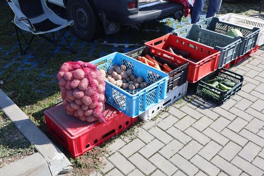 Gm. Chełm. Co można kupić na Gminnym Targowisku? Gm. Chełm. Co można kupić na Gminnym Targowisku?