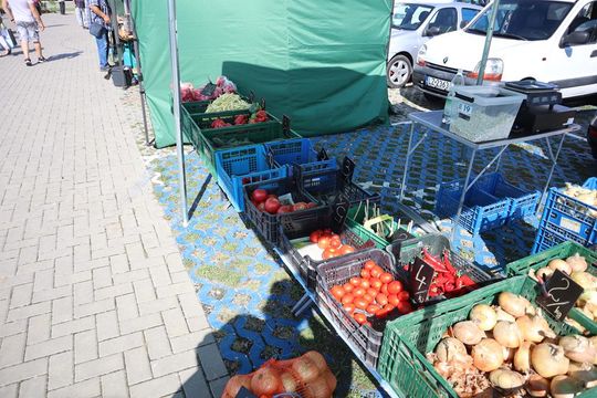 Gm. Chełm. Co można kupić na Gminnym Targowisku? Gm. Chełm. Co można kupić na Gminnym Targowisku?