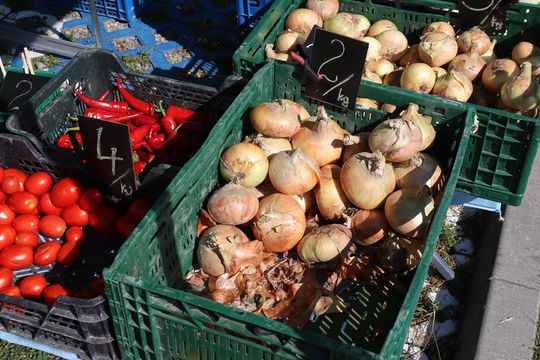 Gm. Chełm. Co można kupić na Gminnym Targowisku? Gm. Chełm. Co można kupić na Gminnym Targowisku?