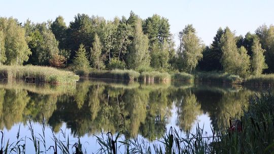 Zawody wędkarskie o "Puchar wójta gminy Białopole" [GALERIA ZDJĘĆ]