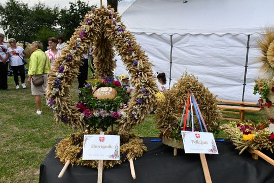 Gm. Gorzków: Gminne Święto Plonów w Orchowcu 2025