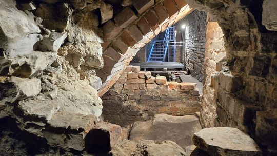 Tajemnice krypt pod chełmską bazyliką [ZDJĘCIA]