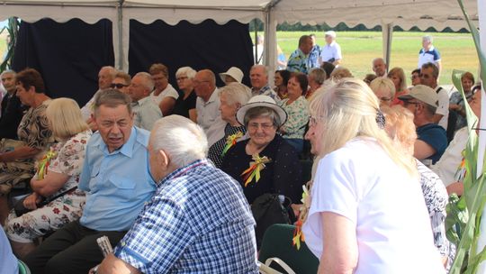 Dożynki gminne w Leśniowicach 2025 [GALERIA ZDJĘĆ]