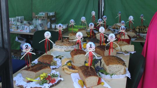 Dożynki gminne w Leśniowicach 2025 [GALERIA ZDJĘĆ]