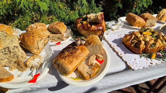 Dożynki gminne w Siedliszczu z Izabelą Trojanowską i Long & Junior [GALERIA ZDJĘĆ]