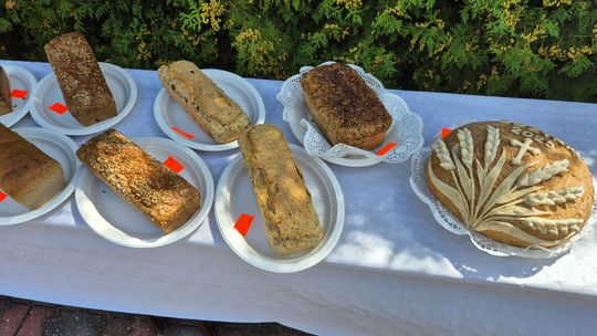 Dożynki gminne w Siedliszczu z Izabelą Trojanowską i Long & Junior [GALERIA ZDJĘĆ]