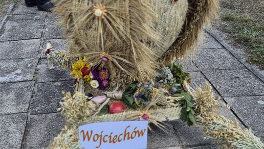 Dożynki gminne w Siedliszczu z Izabelą Trojanowską i Long & Junior [GALERIA ZDJĘĆ]