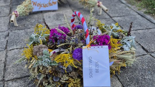 Dożynki gminne w Siedliszczu z Izabelą Trojanowską i Long & Junior [GALERIA ZDJĘĆ]