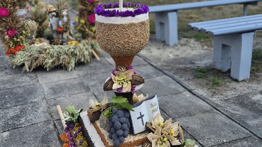 Dożynki gminne w Siedliszczu z Izabelą Trojanowską i Long & Junior [GALERIA ZDJĘĆ]