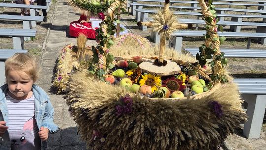 Dożynki gminne w Siedliszczu z Izabelą Trojanowską i Long & Junior [GALERIA ZDJĘĆ]
