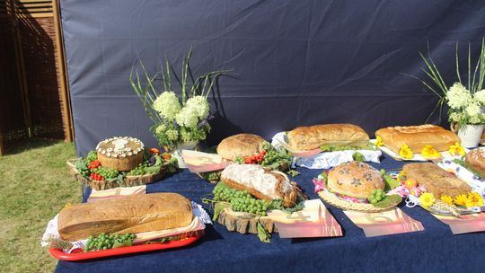 Dożynki gminne w Żmudzi 2025 [GALERIA ZDJĘĆ]