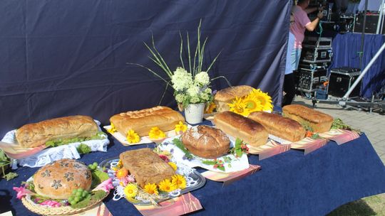 Dożynki gminne w Żmudzi 2025 [GALERIA ZDJĘĆ]