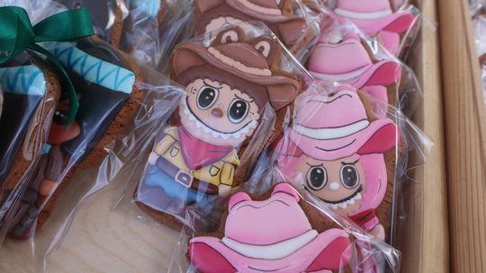 Gm. Ruda-Huta. Amerykański Dzień w Magicznej Wiosce [GALERIA ZDJĘĆ]