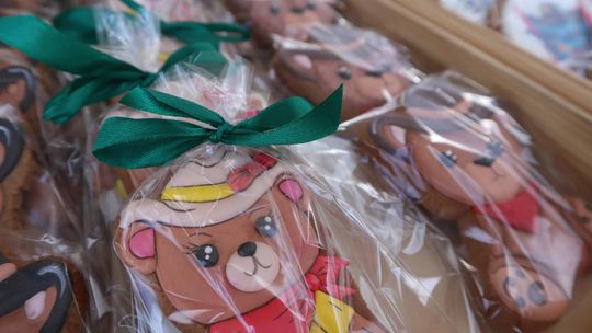 Gm. Ruda-Huta. Amerykański Dzień w Magicznej Wiosce [GALERIA ZDJĘĆ]