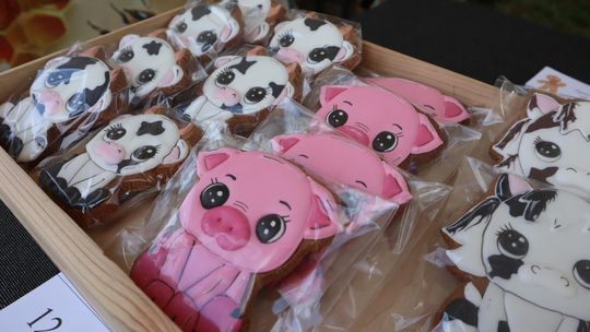 Gm. Ruda-Huta. Amerykański Dzień w Magicznej Wiosce [GALERIA ZDJĘĆ]