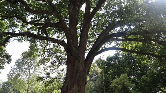 Gm. Ruda-Huta. Bolkowanie jakiego jeszcze nie było! [GALERIA ZDJĘĆ]