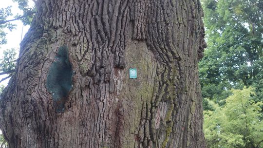 Gm. Ruda-Huta. Bolkowanie jakiego jeszcze nie było! [GALERIA ZDJĘĆ]