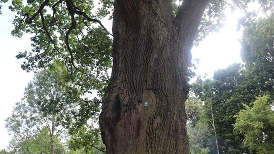 Gm. Ruda-Huta. Bolkowanie jakiego jeszcze nie było! [GALERIA ZDJĘĆ]