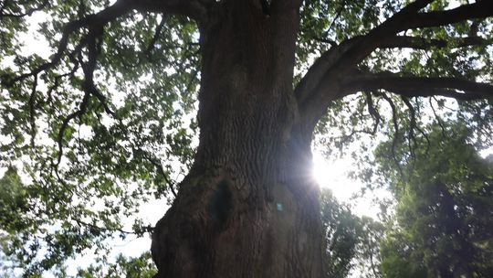 Gm. Ruda-Huta. Bolkowanie jakiego jeszcze nie było! [GALERIA ZDJĘĆ]