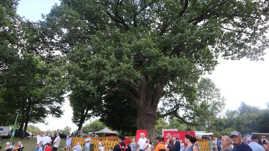 Gm. Ruda-Huta. Bolkowanie jakiego jeszcze nie było! [GALERIA ZDJĘĆ]