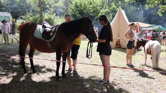 Gm. Ruda-Huta. Bolkowanie jakiego jeszcze nie było! [GALERIA ZDJĘĆ]