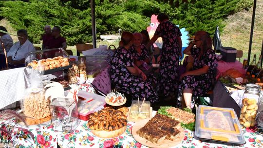 Święto plonów w gminie Rudnik 2025