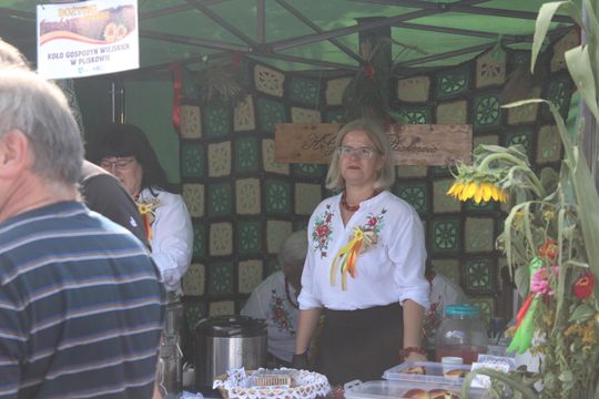 Dożynki gminne w Leśniowicach 2025 [GALERIA ZDJĘĆ]