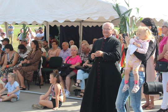 Dożynki gminne w Leśniowicach 2025 [GALERIA ZDJĘĆ]