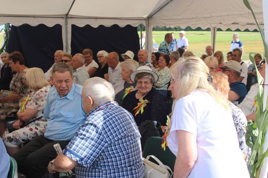 Dożynki gminne w Leśniowicach 2025 [GALERIA ZDJĘĆ]