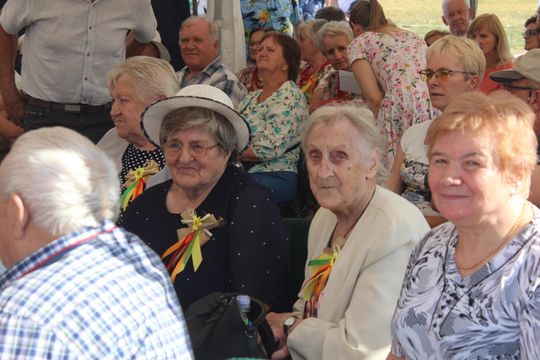 Dożynki gminne w Leśniowicach 2025 [GALERIA ZDJĘĆ]