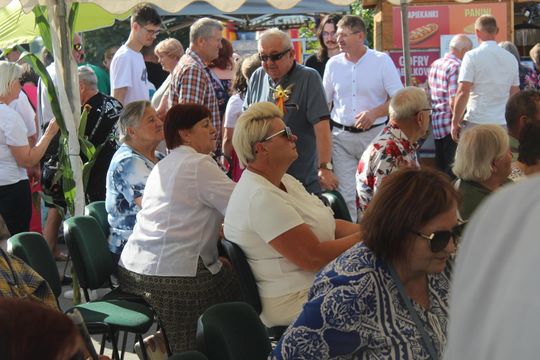 Dożynki gminne w Leśniowicach 2025 [GALERIA ZDJĘĆ]