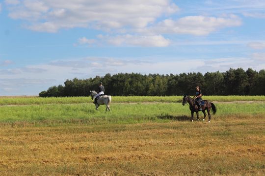 Dożynki gminne w Leśniowicach 2025 [GALERIA ZDJĘĆ]