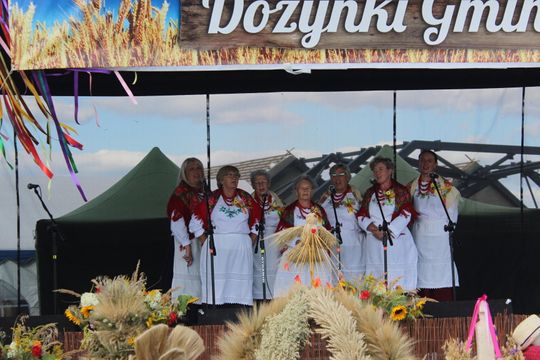 Dożynki gminne w Leśniowicach 2025 [GALERIA ZDJĘĆ]