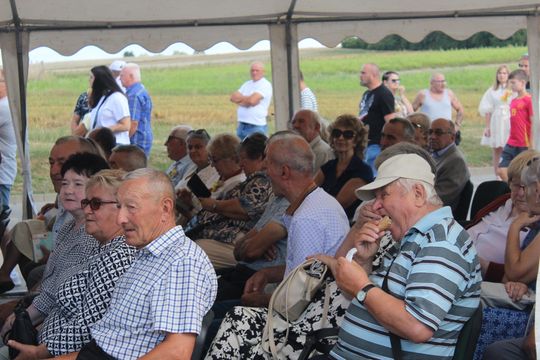 Dożynki gminne w Leśniowicach 2025 [GALERIA ZDJĘĆ]