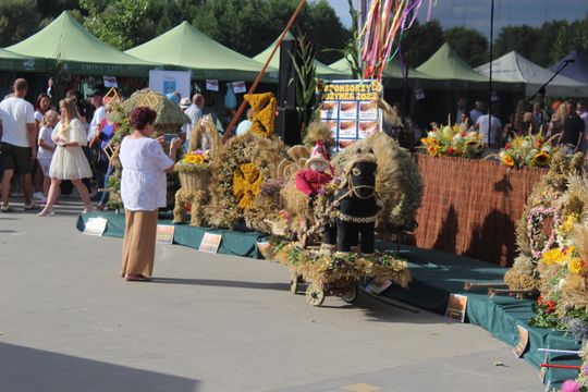 Dożynki gminne w Leśniowicach 2025 [GALERIA ZDJĘĆ]