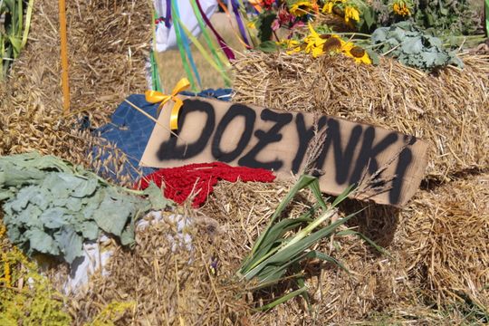 Dożynki gminne w Leśniowicach 2025 [GALERIA ZDJĘĆ]