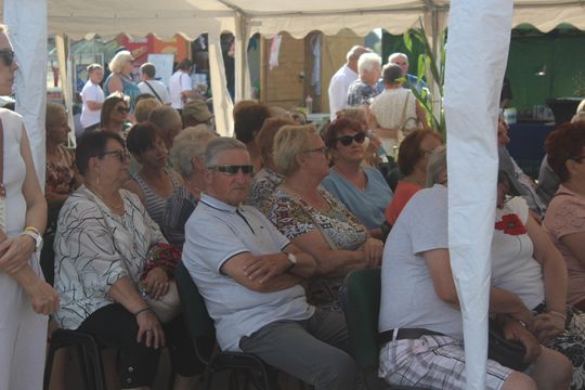 Dożynki gminne w Leśniowicach 2025 [GALERIA ZDJĘĆ]