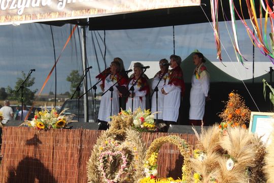 Dożynki gminne w Leśniowicach 2025 [GALERIA ZDJĘĆ]