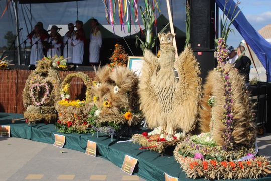 Dożynki gminne w Leśniowicach 2025 [GALERIA ZDJĘĆ]